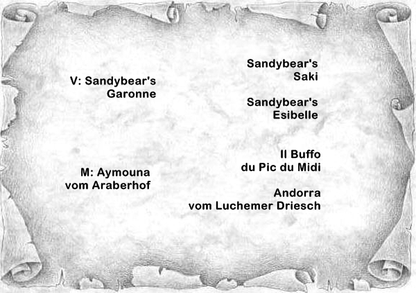 AT_Dschenin