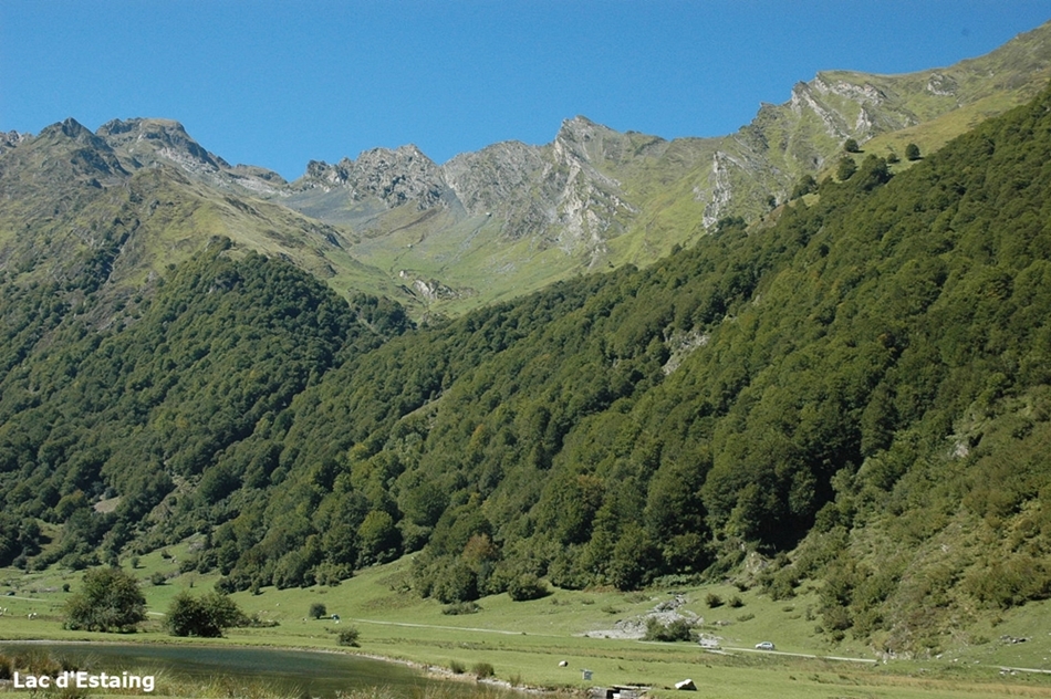 DSC_0097 (1)