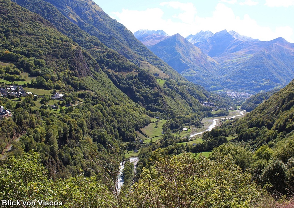 vis5IMG_5735-crop